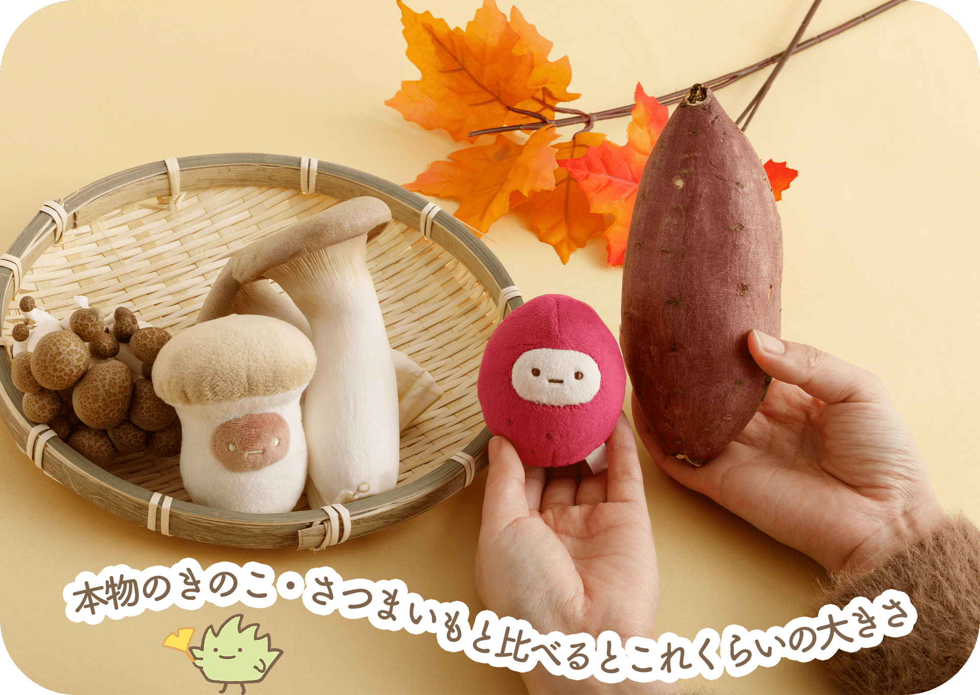 すみっコぐらし - 【限定】すみっコぐらし 秋のたぴおかてのり